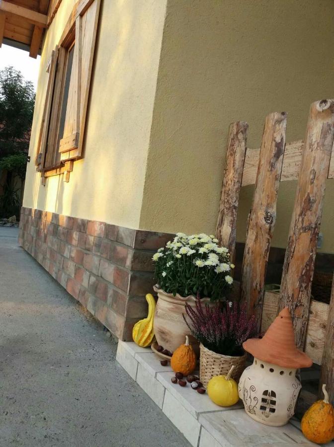 Rita Apartman & Studio Zrenjanin Exterior photo